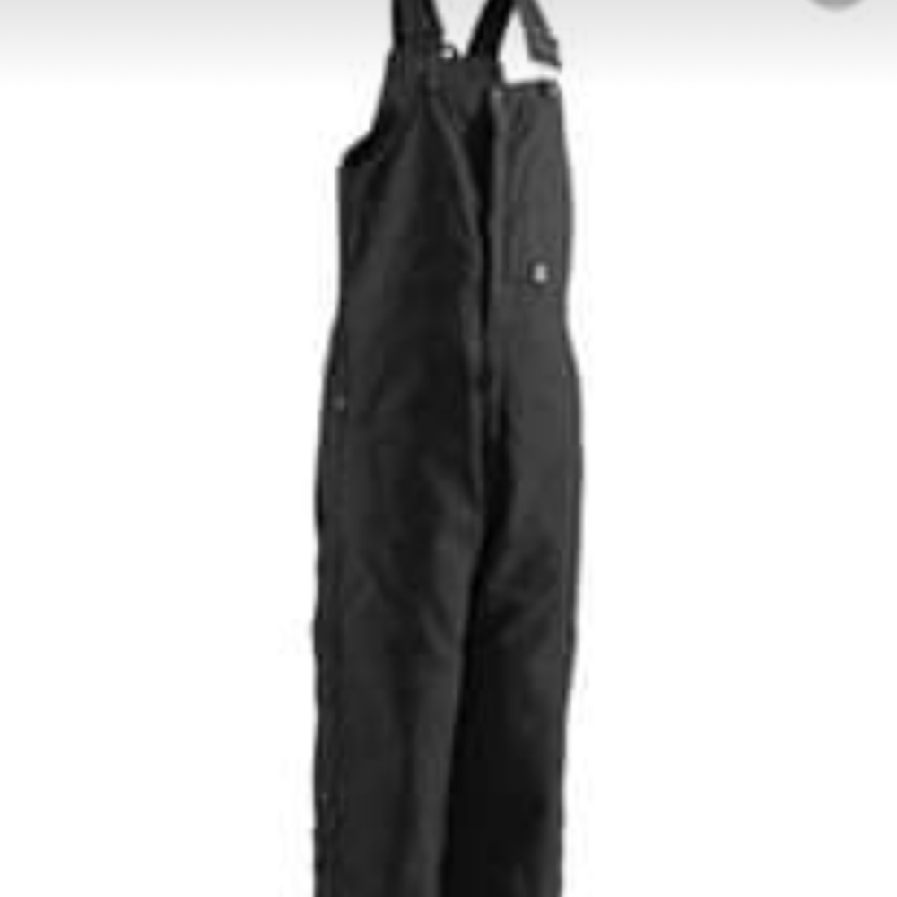 Berne mens bibs